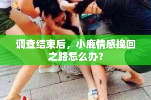 调查结束后，小鹿情感挽回之路怎么办？