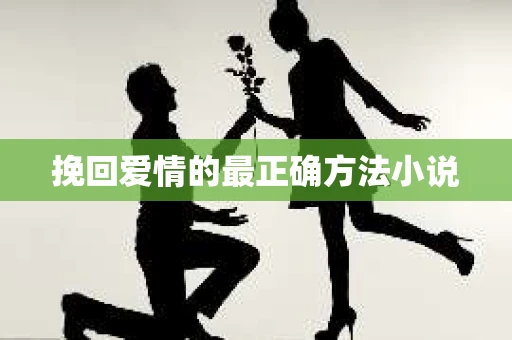 挽回爱情的最正确方法小说