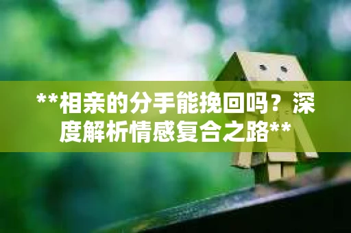 **相亲的分手能挽回吗？深度解析情感复合之路**