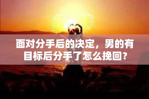 面对分手后的决定，男的有目标后分手了怎么挽回？