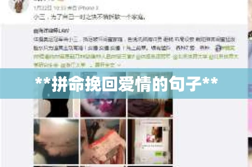 **拼命挽回爱情的句子**
