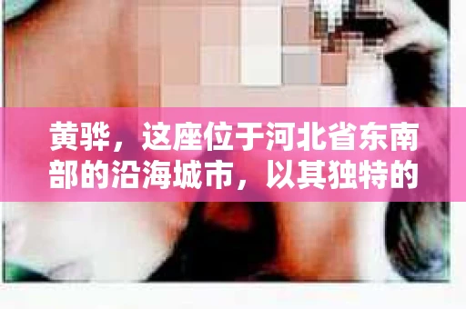 黄骅，这座位于河北省东南部的沿海城市，以其独特的地理位置和丰富的历史文化而闻名。然而，在这座城市中，还有一群人，他们以另一种方式默默守护着社会的公平与正义——私家侦探。今天，我们就来聊聊黄骅的私家侦探，看看他们是如何在这个城市中发挥作用的。