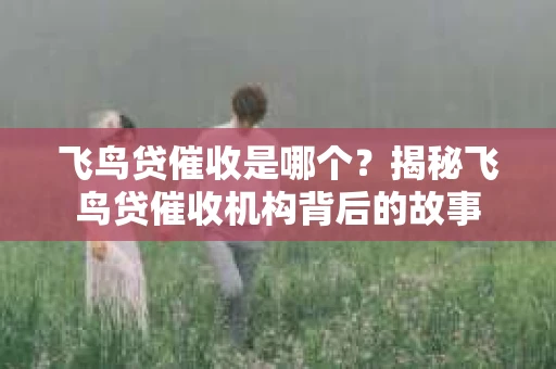 飞鸟贷催收是哪个？揭秘飞鸟贷催收机构背后的故事