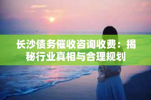 长沙债务催收咨询收费：揭秘行业真相与合理规划