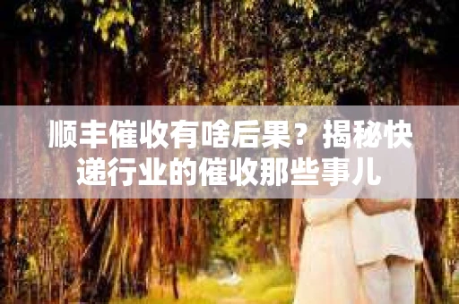 顺丰催收有啥后果？揭秘快递行业的催收那些事儿