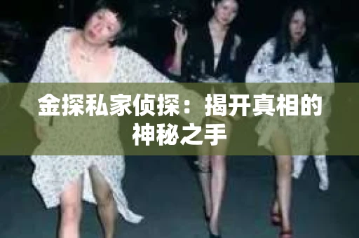 金探私家侦探：揭开真相的神秘之手