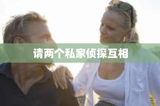 请两个私家侦探互相
