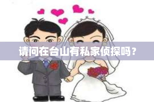 请问在台山有私家侦探吗？