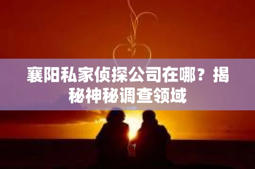 襄阳私家侦探公司在哪？揭秘神秘调查领域