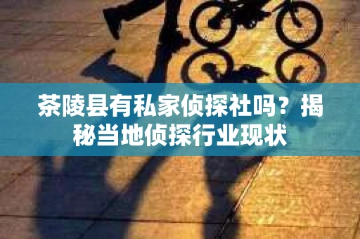茶陵县有私家侦探社吗？揭秘当地侦探行业现状