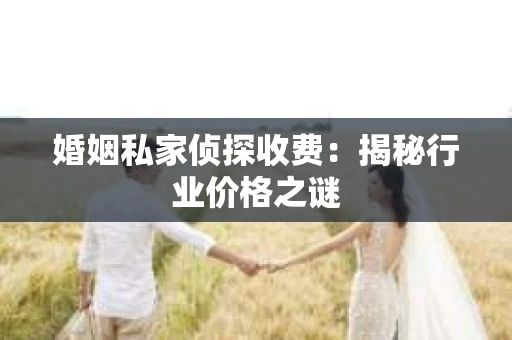 婚姻私家侦探收费：揭秘行业价格之谜