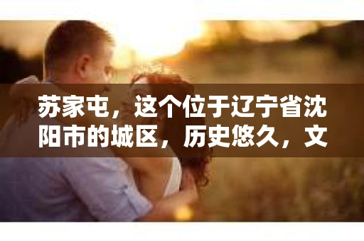 苏家屯，这个位于辽宁省沈阳市的城区，历史悠久，文化底蕴深厚。近年来，随着社会的发展，人们对于私家侦探的需求也逐渐增加。那么，苏家屯有私家侦探吗？今天，我们就来聊聊这个话题。