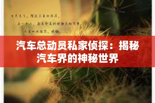 汽车总动员私家侦探：揭秘汽车界的神秘世界