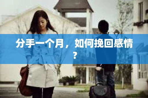 分手一个月,如何挽回感情? 分手一个月,如何挽回感情?