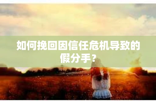 如何挽回因信任危机导致的假分手? 如何挽回因信任危机导致的假分手?