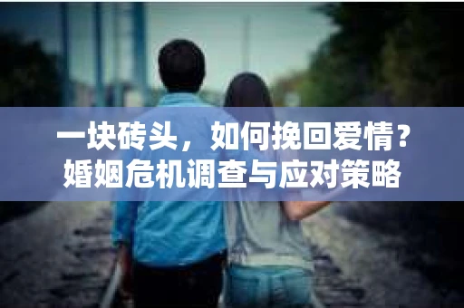 一块砖头,如何挽回爱情?婚姻危机调查与应对策略 一块砖头,如何挽回爱情?婚姻危机调查与应对策略