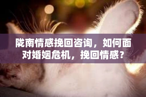 陇南情感挽回咨询，如何面对婚姻危机，挽回情感？