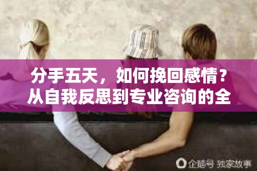 分手五天，如何挽回感情？从自我反思到专业咨询的全面解决方案