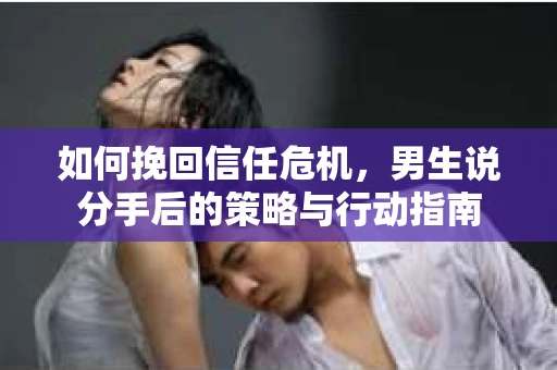 如何挽回信任危机，男生说分手后的策略与行动指南