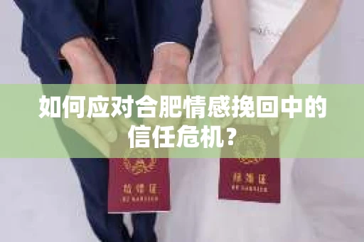 如何应对合肥情感挽回中的信任危机？