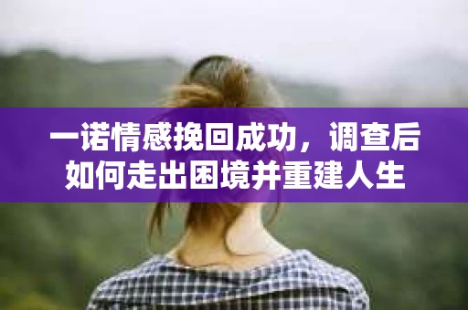 一诺情感挽回成功，调查后如何走出困境并重建人生