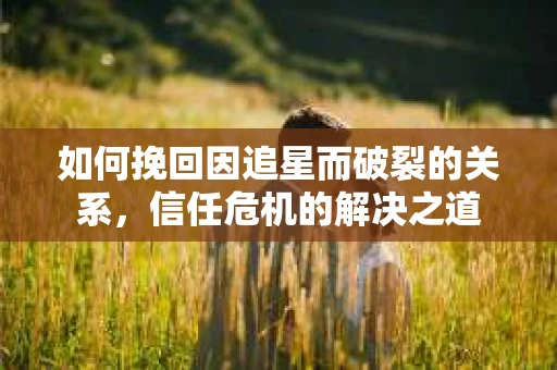 如何挽回因追星而破裂的关系,信任危机的解决之道 如何挽回因追星而破裂的关系,信任危机的解决之道