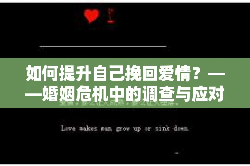 如何提升自己挽回爱情？——婚姻危机中的调查与应对策略