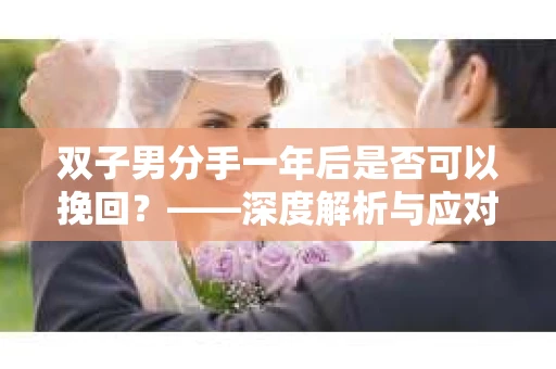 双子男分手一年后是否可以挽回？——深度解析与应对策略